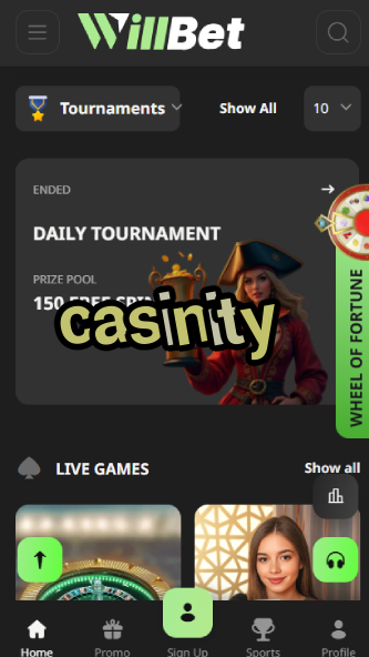 Casinity - Best Online Casino in 2024-www.bdqngd.com