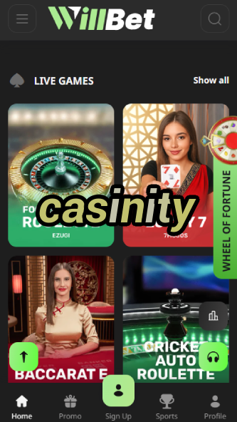 Casinity - Best Online Casino in 2024-www.bdqngd.com