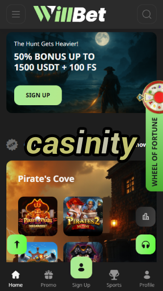 Casinity - Best Online Casino in 2024-www.bdqngd.com