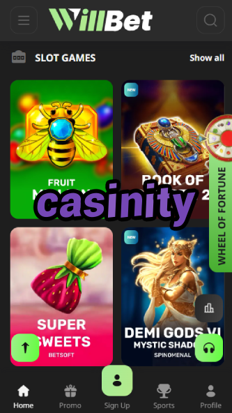 Casinity - Best Online Casino in 2024-www.bdqngd.com